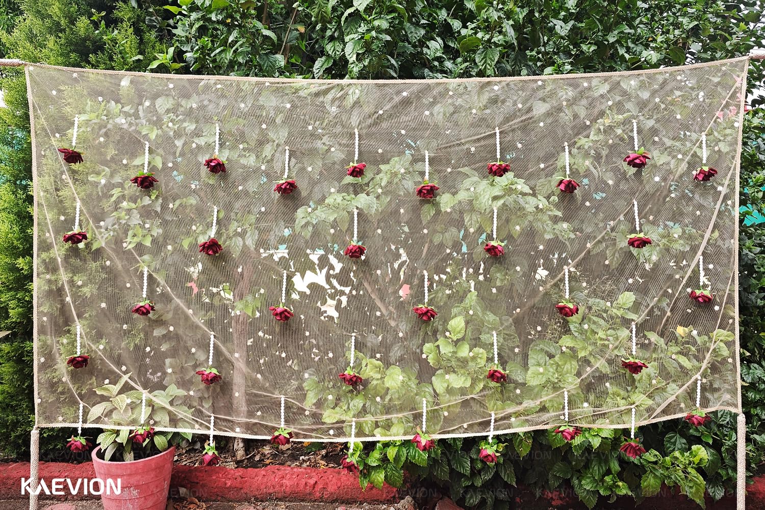 Kaevion Modern Bridal Entry Decor | Ethnic Wear Chunni & Dupattas Best for Gifting, Bride’s Surprise, Gift for Dulhan- 2 Meter