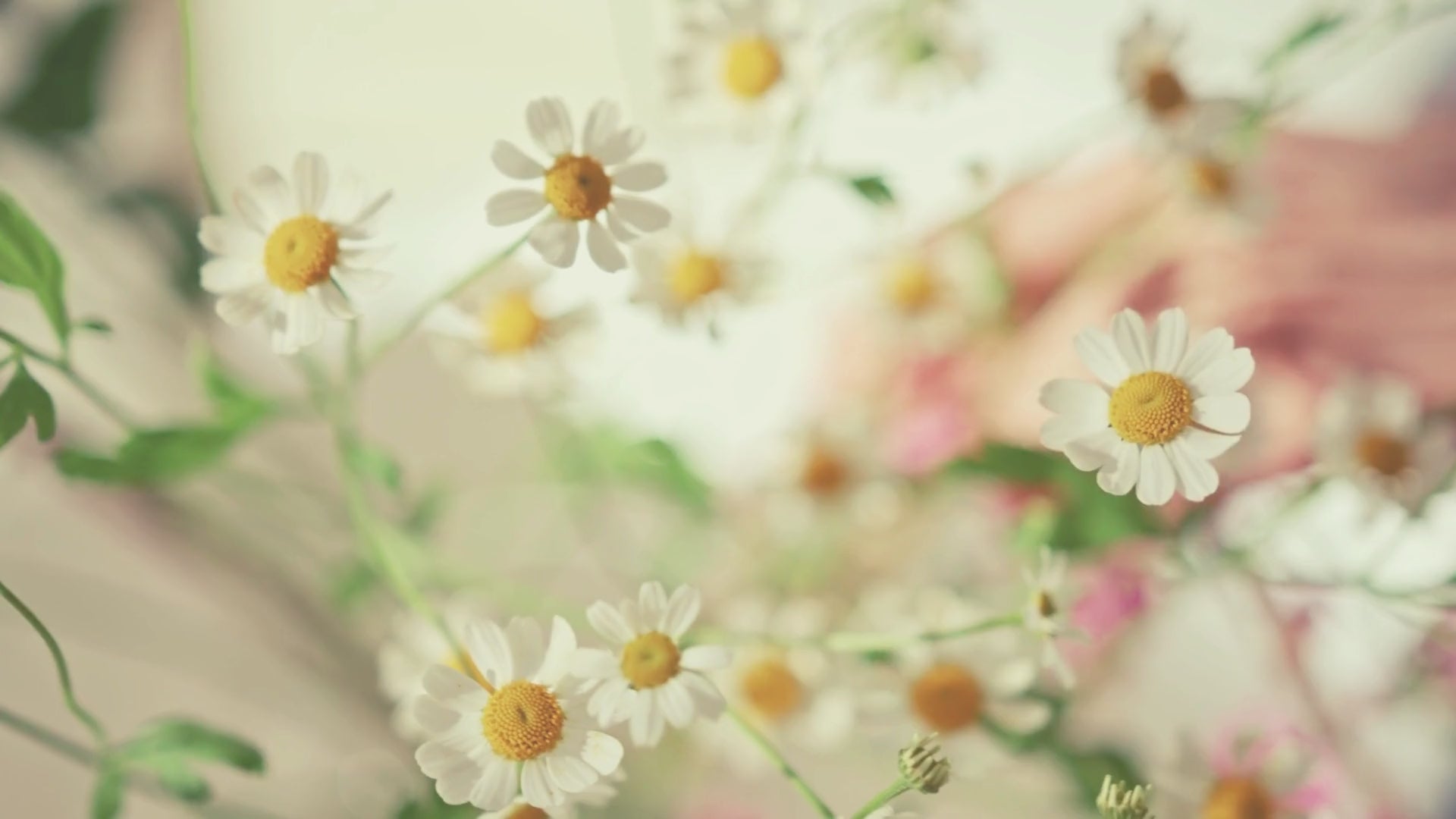 Kaevion Floral Net Bridal Chadar | Artificial Flower Odhani for Brides Mehendi, Haldi, Roka and Sangeet Function